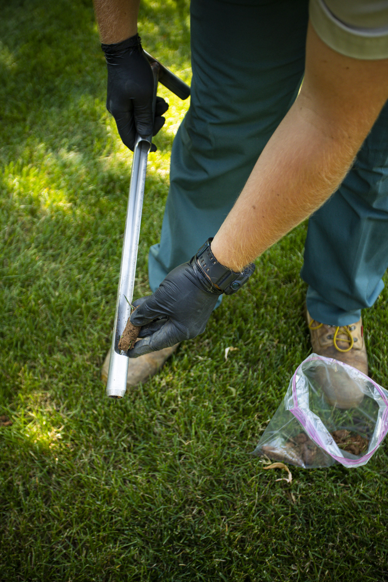 What to Do About Lawn Soil Test Results? Insights &